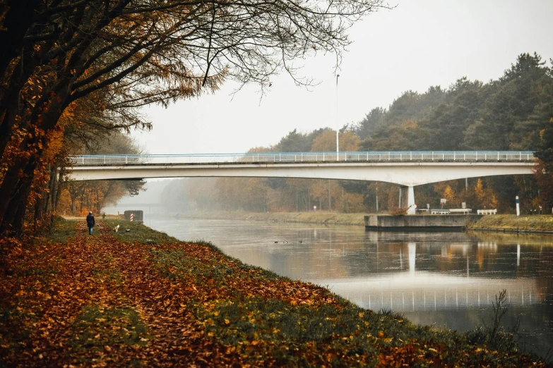 a bridge over a body of water surrounded by trees, by Sebastian Spreng, pexels contest winner, in empty!!!! legnica, 2 5 6 x 2 5 6 pixels, muted fall colors, river thames