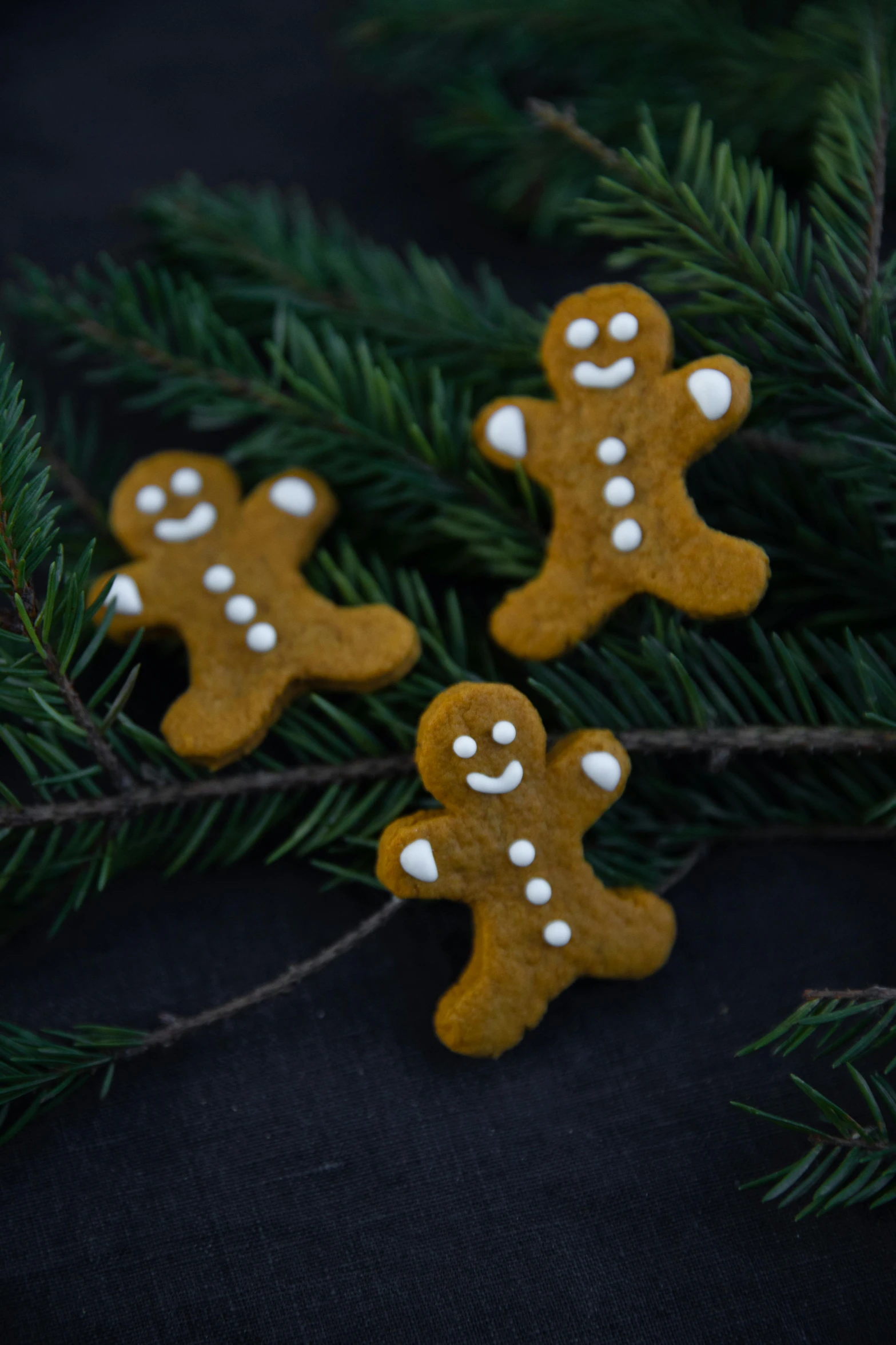 three ginger cookies sitting on top of a tree branch, inspired by Samu Börtsök, reddit, square, 0, holiday, feels good man