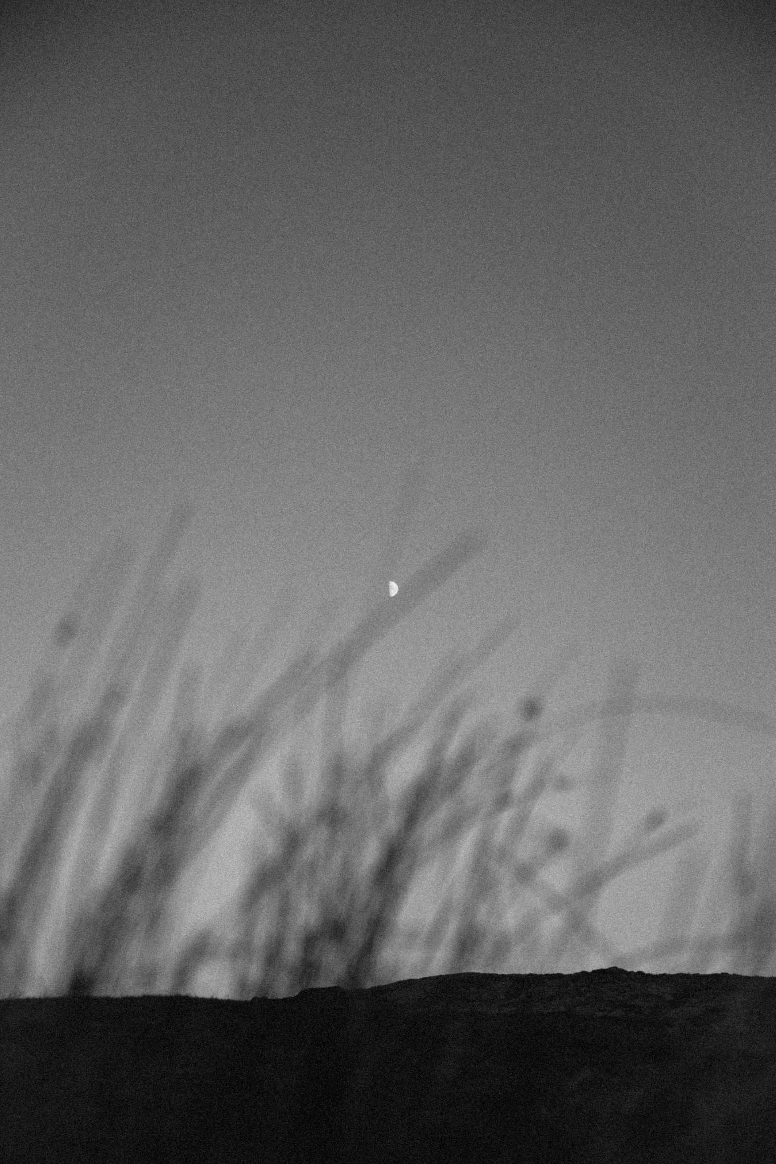 a black and white photo of the moon in the sky, inspired by Max Dupain, standing in tall grass, break of dawn on venus, 15081959 21121991 01012000 4k, :: morning