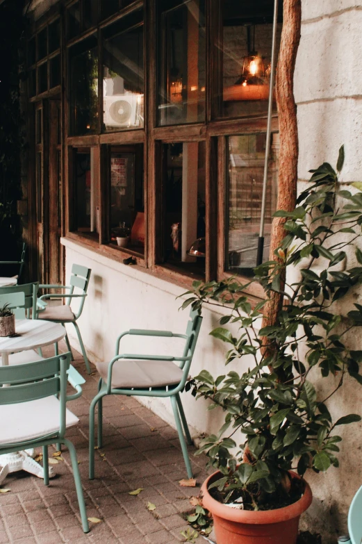 a table and chairs outside of a restaurant, a photo, trending on unsplash, art nouveau, vintage muted colors, branches and foliage, panoramic shot, looking around a corner