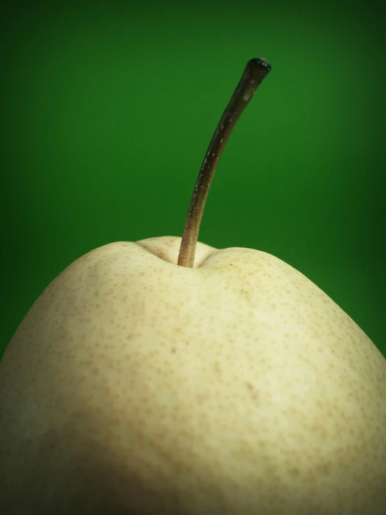 a close up of a pear on a green background, an album cover, by Greg Rutkowski, unsplash, renaissance, 15081959 21121991 01012000 4k, genetically engineered, ignant, bottom body close up