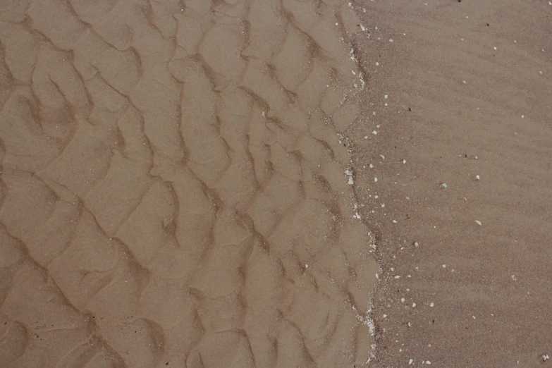 a couple of birds standing on top of a sandy beach, inspired by Vija Celmins, unsplash, land art, swirly liquid ripples, taupe, texture detail, amanda lilleston