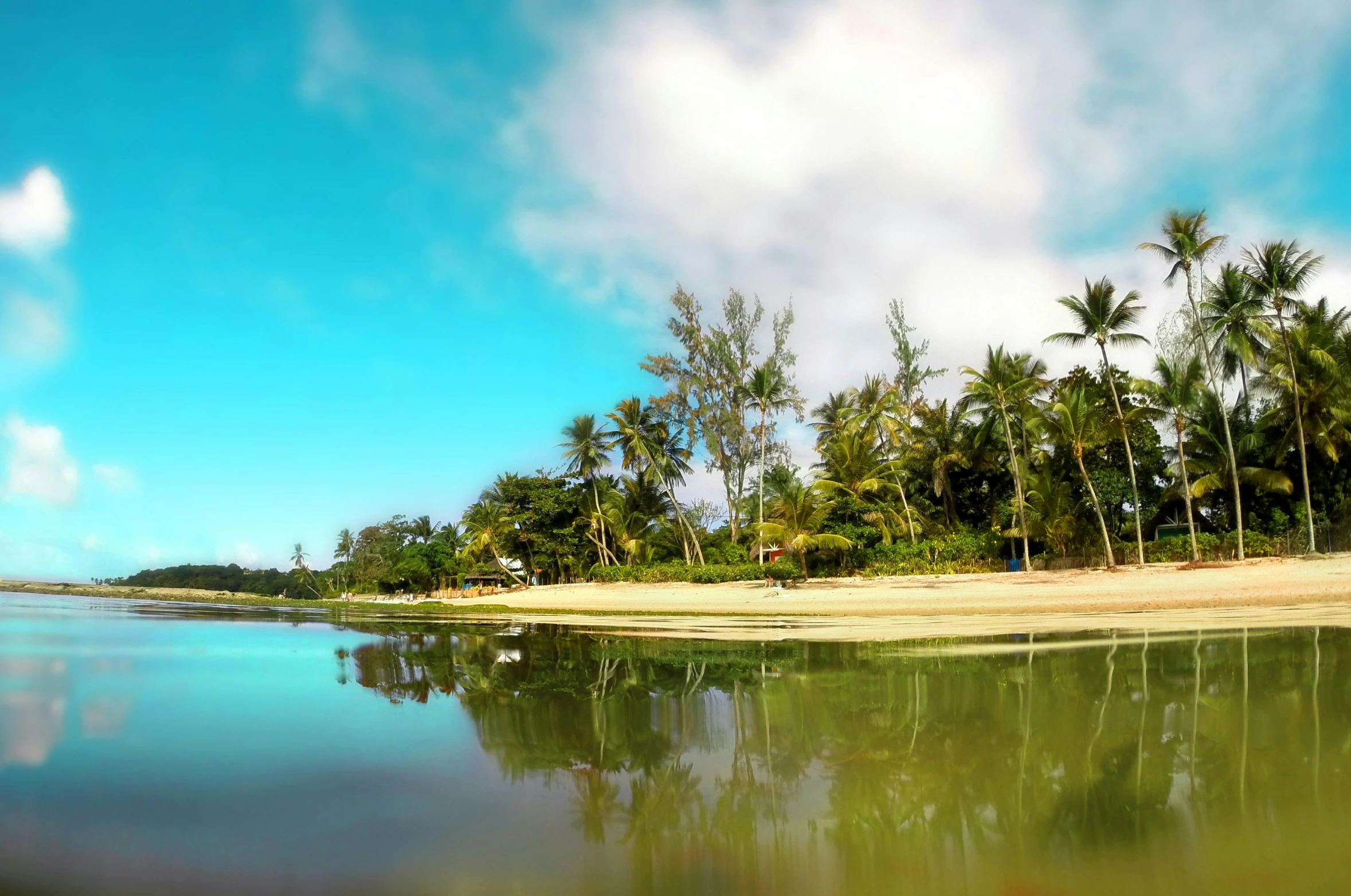 a body of water surrounded by palm trees, serene beach setting, puddles of turquoise water, gilligan's island, panoramic