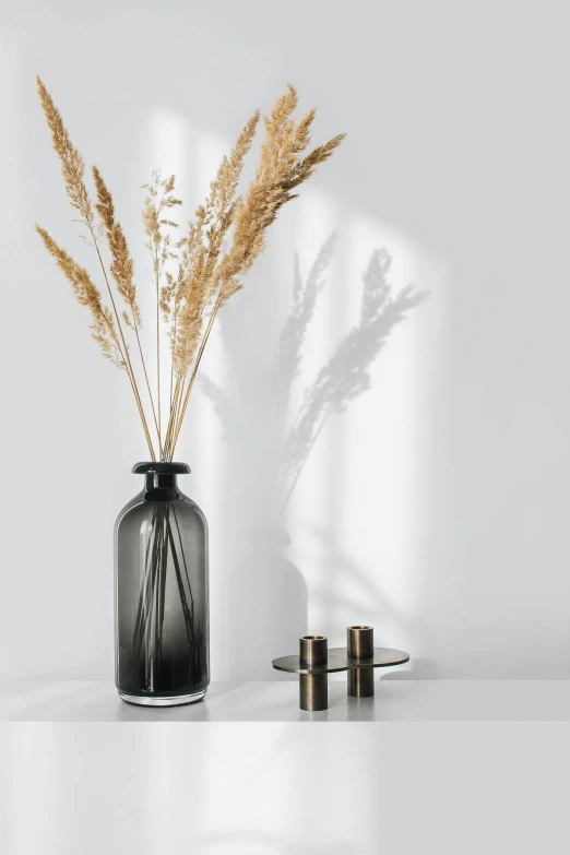 a black vase sitting on top of a white table, product image, reeds, glass bottle, smoky