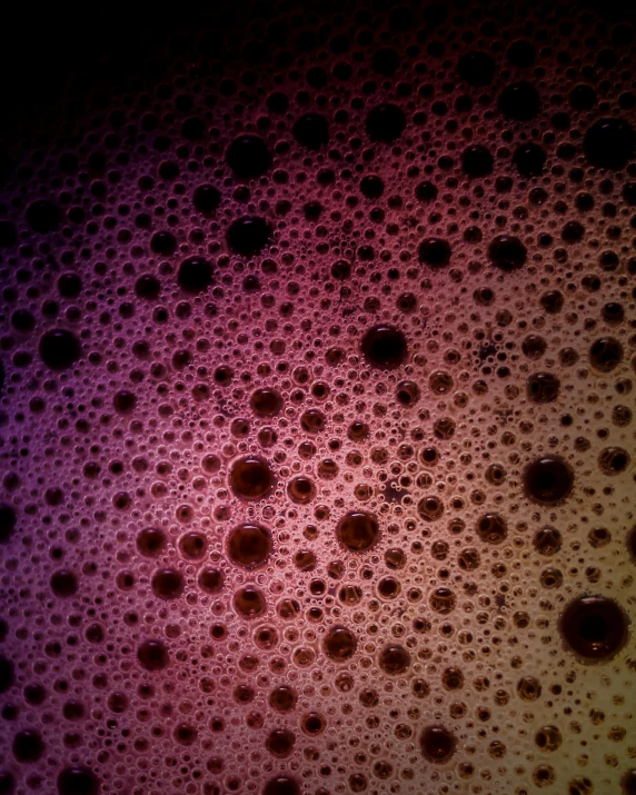 a close up of a glass of beer, a microscopic photo, unsplash, pointillism, purple ambient light, bubble bath, dark rainbow, view from below