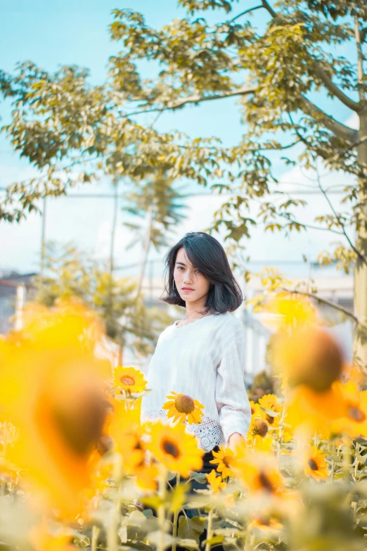 a woman standing in a field of sunflowers, by Tan Ting-pho, unsplash, realism, wearing a white sweater, avatar image, handsome girl, medium format