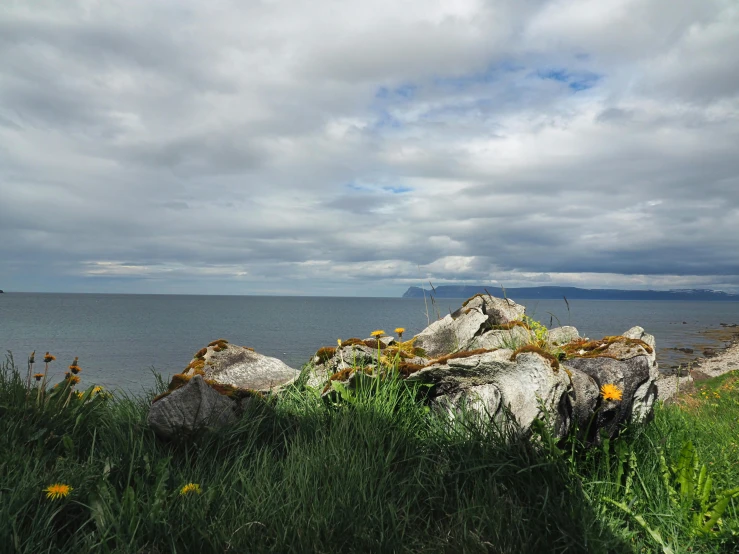 a bunch of rocks sitting on top of a lush green field, inspired by Mór Than, unsplash, view of sea, grey skies, flowers, cloudless-crear-sky