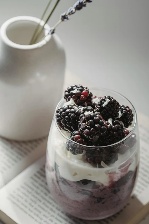 a dessert in a glass sitting on top of an open book, by Ruth Simpson, trending on unsplash, berries, black white purple, yogurt, mini model