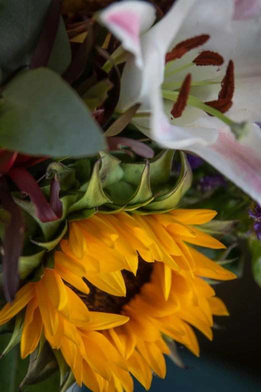 a vase filled with sunflowers and other flowers, up-close, local close up, lillies, photographed