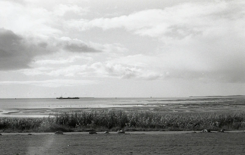 a black and white photo of a large body of water, shipfleet on the horizon, long grass in the foreground, taken on a 1960s kodak camera, ffffound