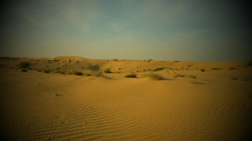 there is no image here to provide a caption for, a picture, pexels contest winner, hurufiyya, sand banks, vastayan, sparse vegetation, soft shade