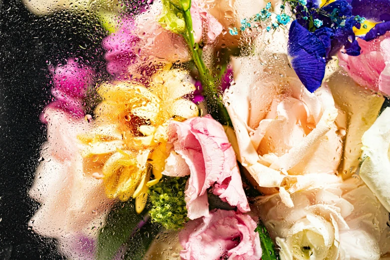 a close up of a bunch of flowers in a vase, an album cover, by Carey Morris, romanticism, splashes of colors, dewy skin, multi - coloured, detail shot