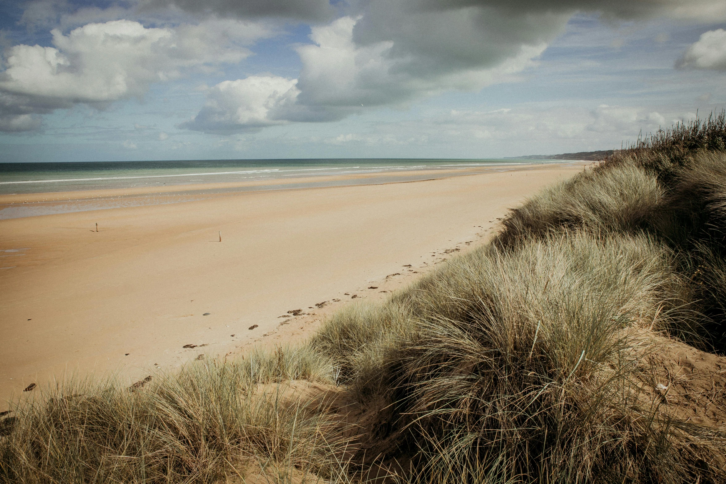 a sandy beach next to the ocean under a cloudy sky, by Ursula Edgcumbe, unsplash, omaha beach, medium format, dunes, vibrant foliage