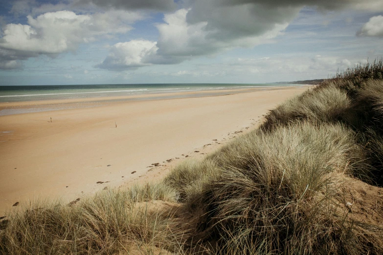 a sandy beach next to the ocean under a cloudy sky, by Ursula Edgcumbe, unsplash, omaha beach, medium format, dunes, vibrant foliage