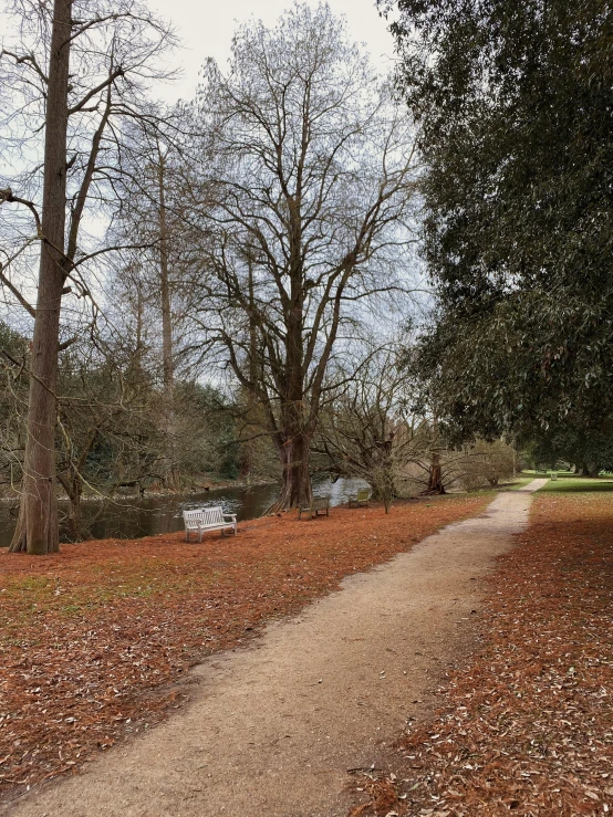 a path that is next to a body of water, inspired by Anne Nasmyth, benches, sparse pine trees, autumn leaves on the ground, january and february