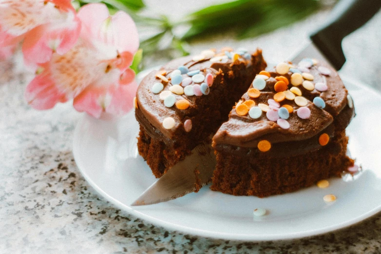 a piece of chocolate cake with chocolate frosting and sprinkles, by Nicolette Macnamara, pexels contest winner, renaissance, flower power, 🦩🪐🐞👩🏻🦳, male and female, soft and fluffy