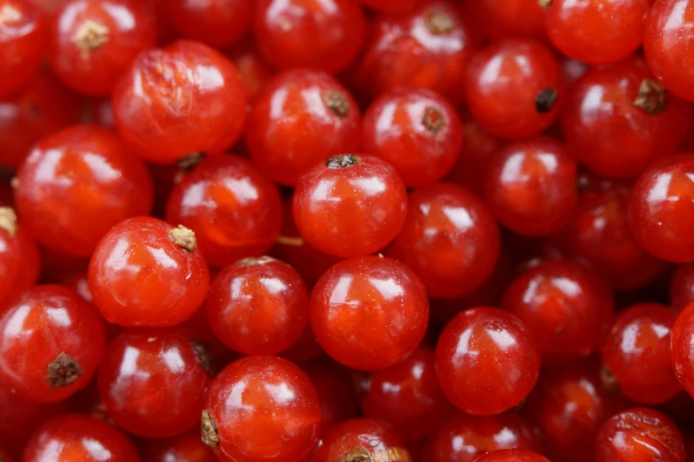 a close up of a bunch of red berries, highly polished, thumbnail, hamar, h 9 6 0