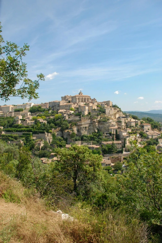 a view of a town from the top of a hill, inspired by Paul Cézanne, built into trees and stone, square, touring, olive