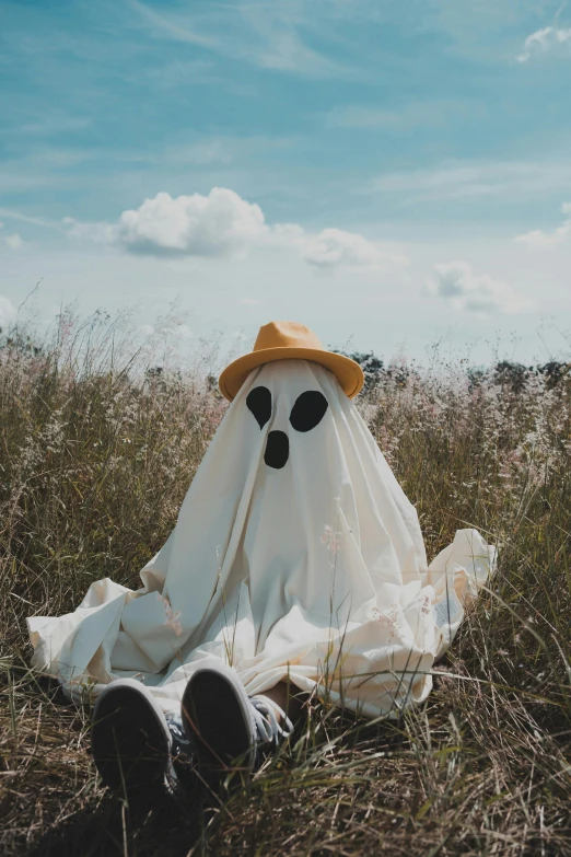 a ghost sitting in the middle of a field, a cartoon, pexels contest winner, full costume, white hat, distant photo, floating