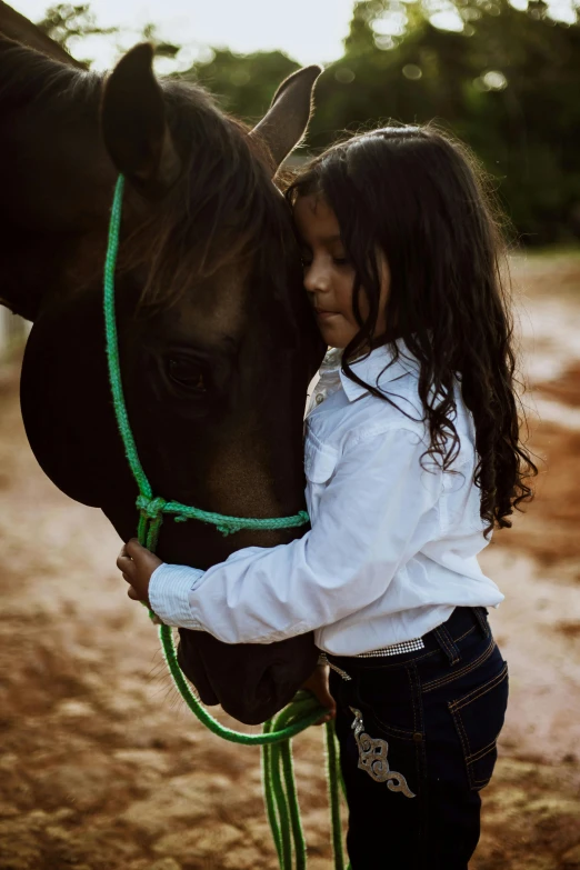 a little girl standing next to a brown horse, by Lilia Alvarado, pexels contest winner, arm around her neck, indian girl with brown skin, a handsome, low key