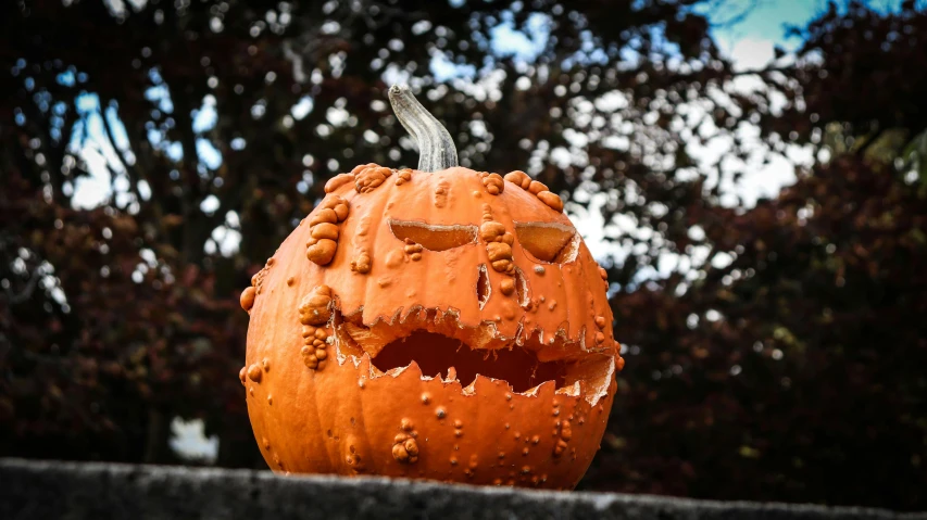 a close up of a pumpkin on a fence, by Thomas Furlong, pexels, auto-destructive art, the trees are angry, carving, dressed in a worn, celebrating