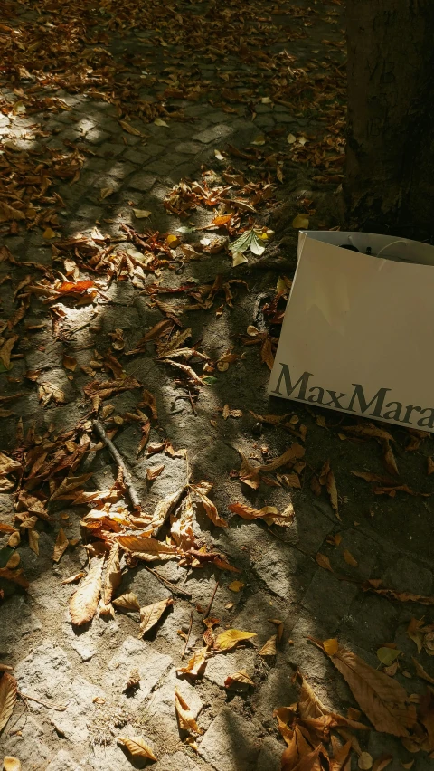 a sign sitting on the ground next to a tree, maximalism, magazine sales, maxar, leaves falling, archive photo