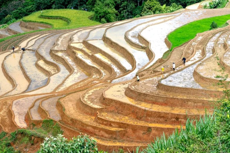 a group of people walking up the side of a hill, pexels contest winner, land art, rice paddies, avatar image, maintenance photo