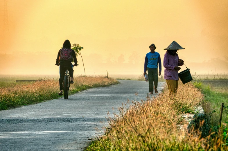 a group of people riding bikes down a road, a picture, by Dan Content, pexels contest winner, rice paddies, :: morning, coloured photo, walking through a suburb