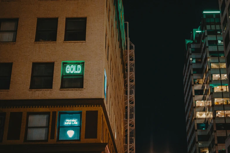 a couple of tall buildings sitting next to each other, inspired by Elsa Bleda, unsplash contest winner, green neon signs, gilded gold, old signs, holding gold