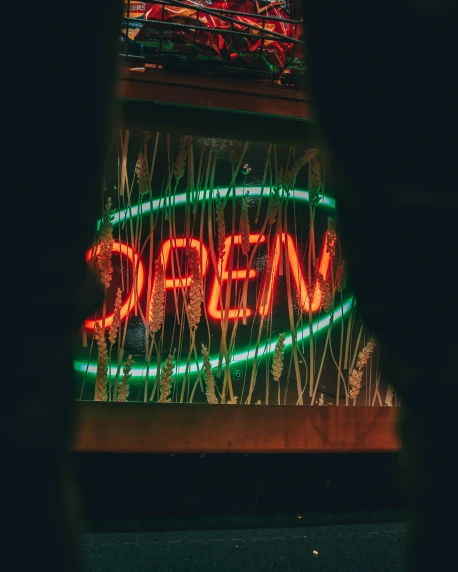 a neon sign on the side of a building, trending on unsplash, happening, open plan, green and red, lgbtq, profile image