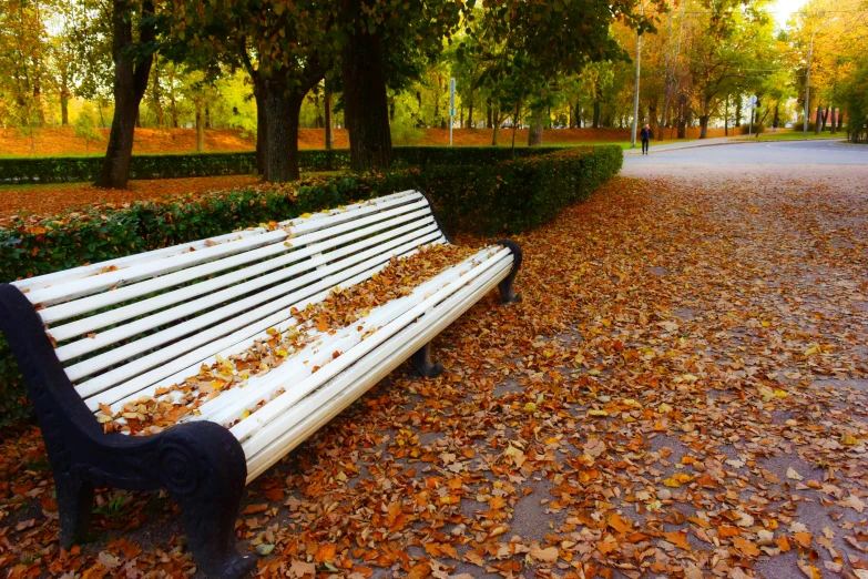 a white bench sitting in the middle of a park, inspired by Otakar Sedloň, pexels contest winner, realism, autumn leaves on the ground, square, brown, gold