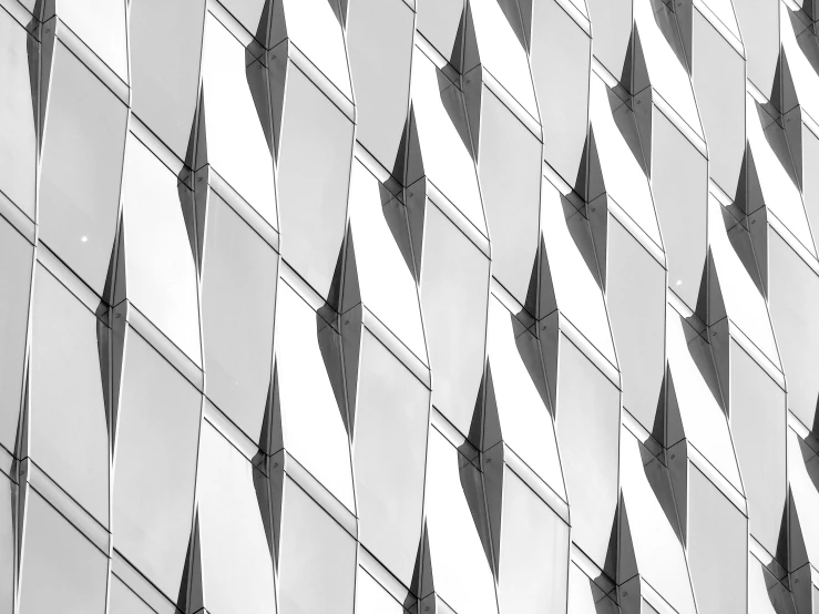 a black and white photo of a building, a black and white photo, pexels contest winner, crystal cubism, white panels, patterned, aluminium, sharp high quality artwork