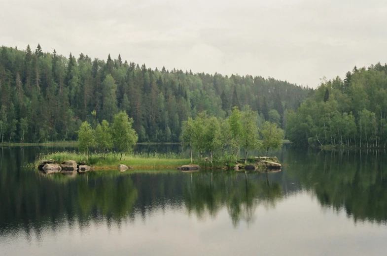 a large body of water surrounded by trees, a picture, inspired by Eero Järnefelt, unsplash, hurufiyya, medium format. soft light, historical photo, documentary photo, camp