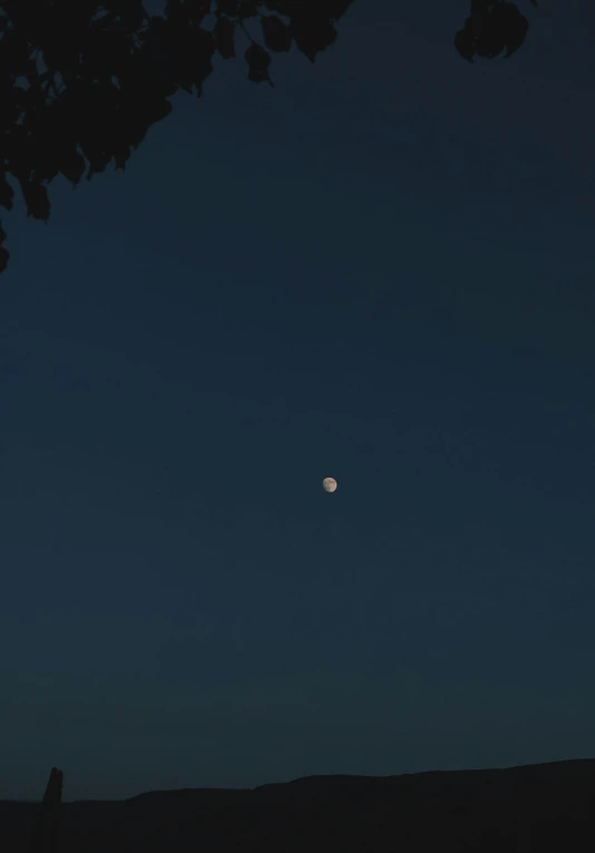 a person standing under a tree looking at the moon, by Niko Henrichon, postminimalism, low quality footage, image, late summer evening, jupiter moon mars