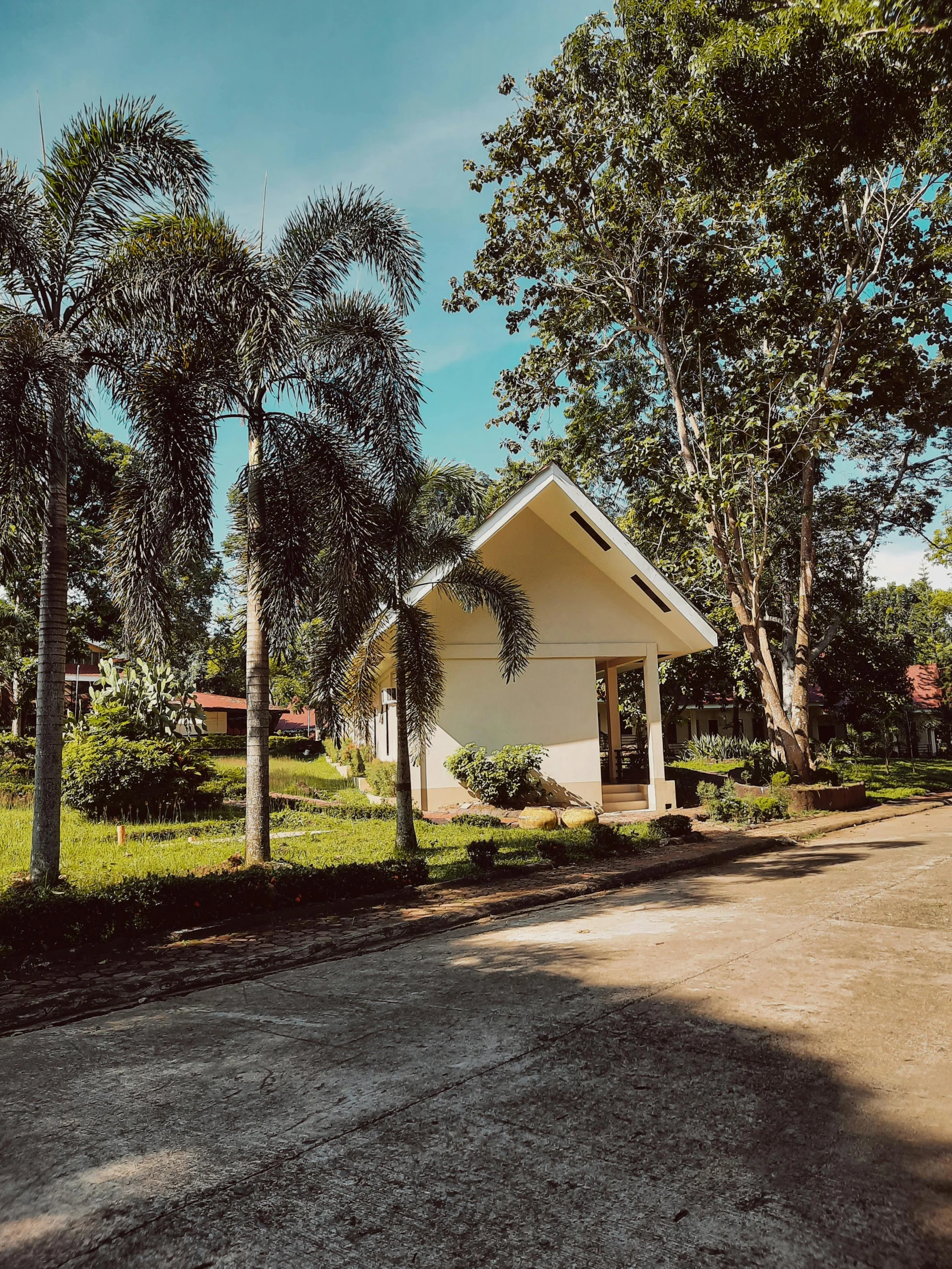 a white house sitting on the side of a road, in a jungle environment, low quality photo, photo on iphone, full frame image