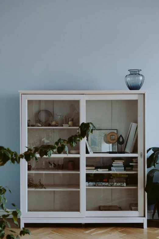 a white cabinet sitting on top of a hard wood floor, inspired by Eero Järnefelt, unsplash, plants in glass vase, soft blue and pink tints, dusty library, shot for pottery magazine