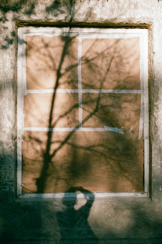 a shadow of a tree in front of a window, a polaroid photo, pexels contest winner, conceptual art, square lines, stained paper, bars on the windows, egor letov