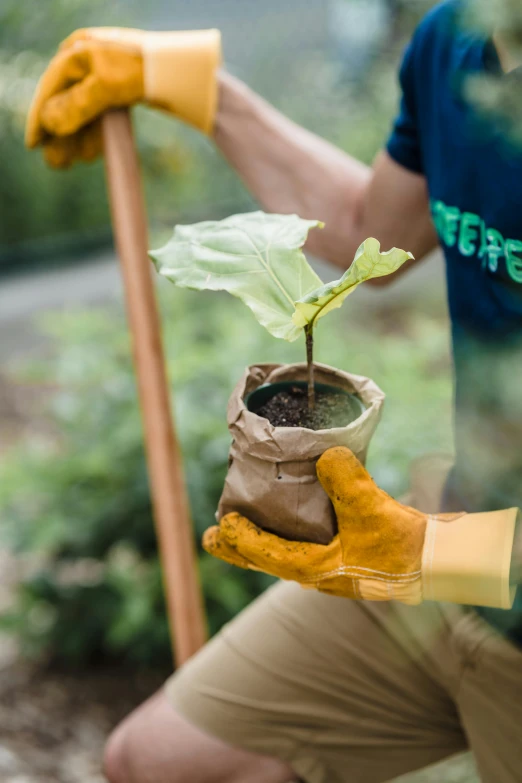 a man holding a bag with a plant in it, creating a soft, datura, large potted plant, brown