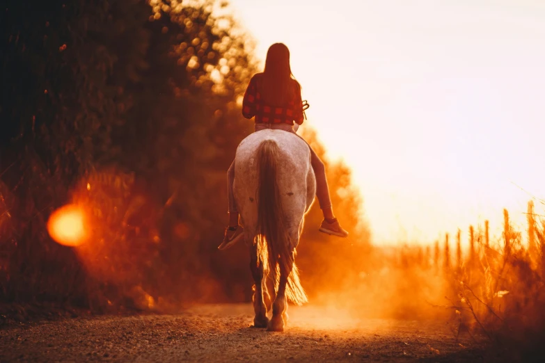 a woman riding a horse down a dirt road, unsplash contest winner, fire and flames mane, golden hour 8k, white and orange breastplate, 👰 🏇 ❌ 🍃