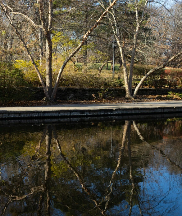 a red fire hydrant sitting next to a body of water, trees reflecting on the lake, exterior botanical garden, bare trees, today\'s featured photograph 4k