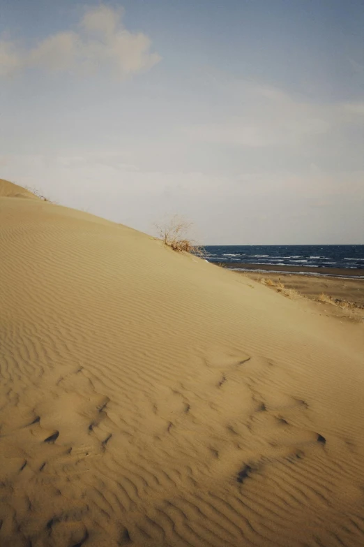 a person flying a kite on top of a sandy beach, unsplash, mingei, sparse vegetation, taken in the early 1990s, erosion, kano)