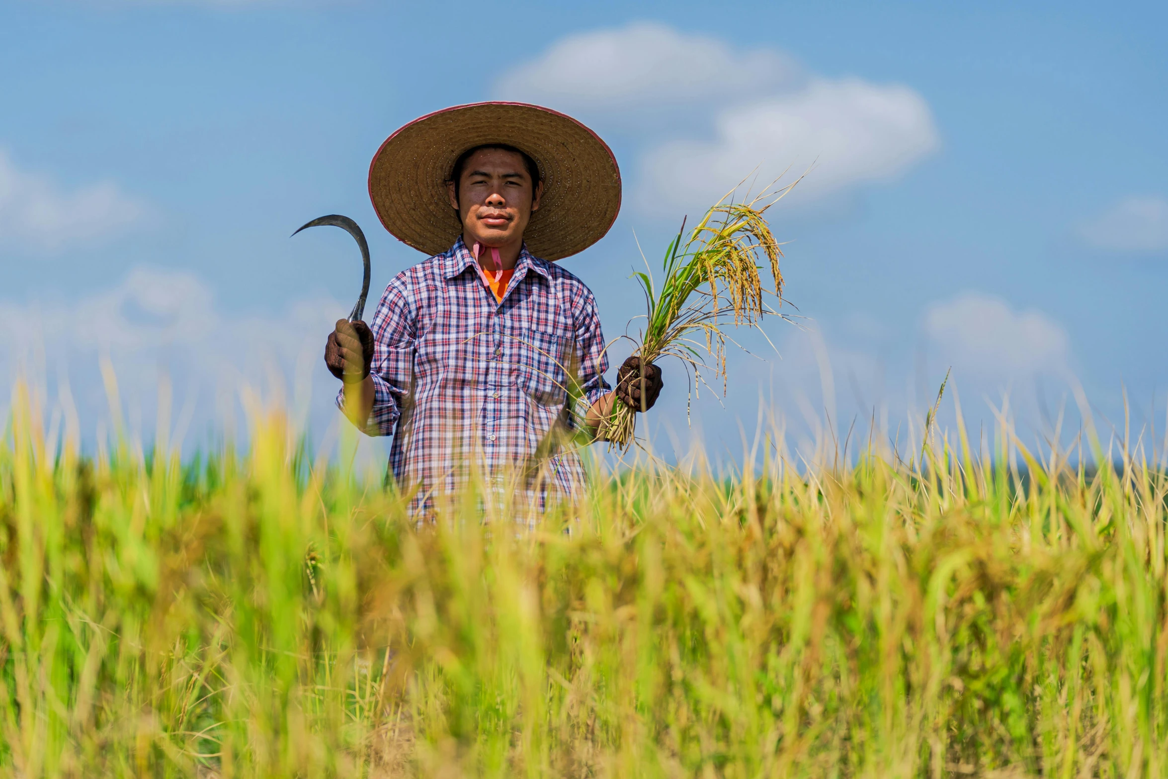 a man standing in the middle of a rice field, wearing a straw hat and overalls, avatar image, slide show, portrait image