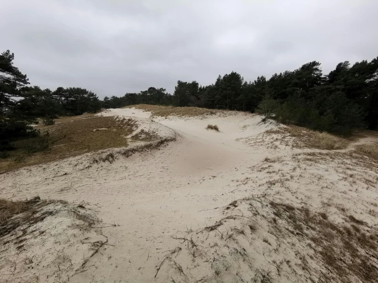 sand dunes and trees on a cloudy day, by Tom Wänerstrand, unsplash, hurufiyya, an eerie whirlpool, bunker, slide show, white sand