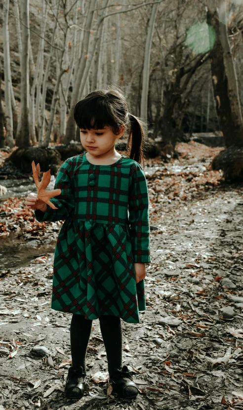 a little girl standing in the middle of a forest, inspired by Raphael, pexels contest winner, tartan garment, dark green dress, square, toddler