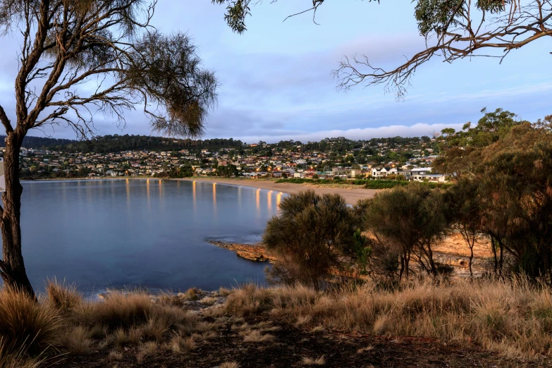 a large body of water surrounded by trees, a portrait, inspired by Tom Roberts, unsplash, hurufiyya, distant town lights, bay, slide show, paisley