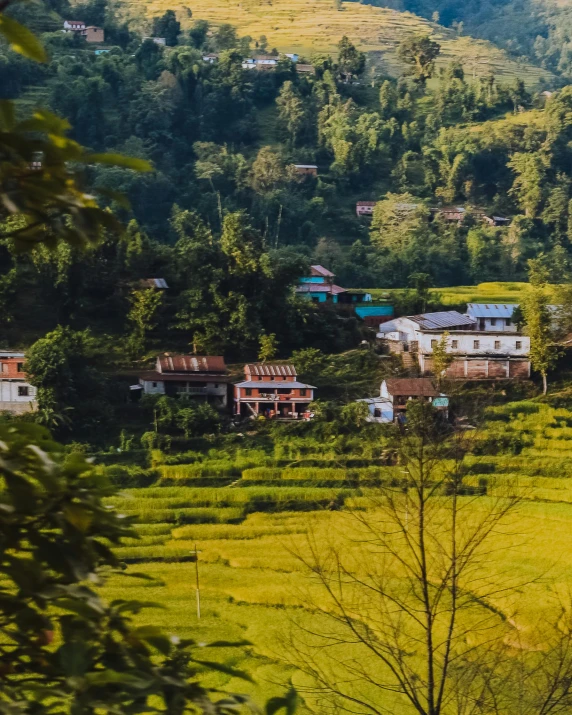 a group of houses sitting on top of a lush green hillside, trending on unsplash, sumatraism, nepal, background image, multiple stories, banner