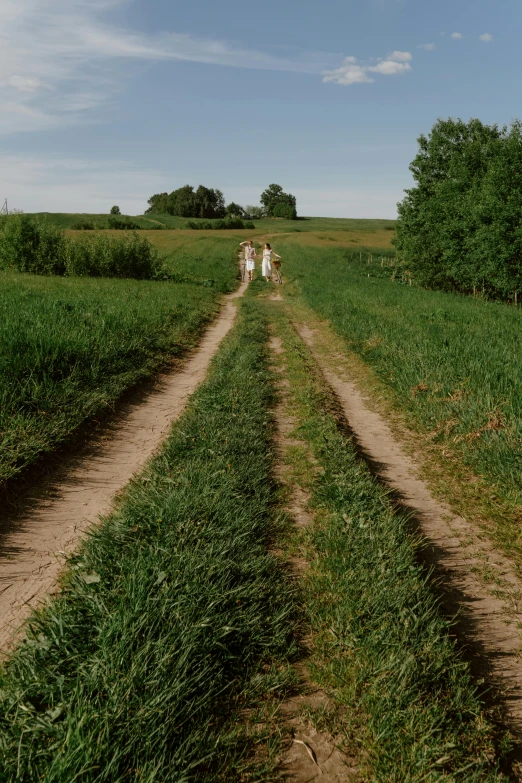 a couple of dogs walking down a dirt road, by Attila Meszlenyi, land art, panoramic view of girl, midsommar style, wim wenders, old american midwest