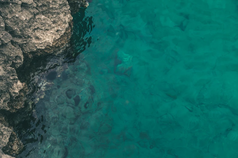 a man standing on top of a rock next to a body of water, by Elsa Bleda, pexels contest winner, minimalism, blue-green fish skin, taken from a plane, glistening seafoam, cyprus