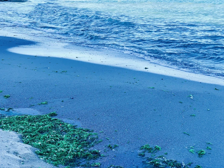 a surfboard sitting on top of a beach next to the ocean, hurufiyya, green and blue palette, sea weed, deep blue water, profile image