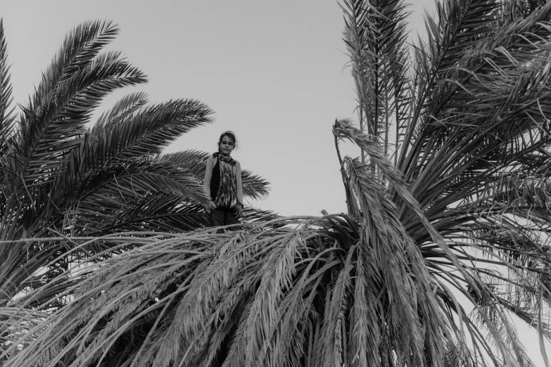 a man sitting on top of a palm tree, a black and white photo, by Nathalie Rattner, hurufiyya, 14 yo berber boy, female, uploaded, low iso